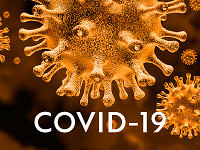 The COVID-19 pandemic: how to maintain a healthy immune
system during the lockdown – a multidisciplinary approach with
special focus on athletes