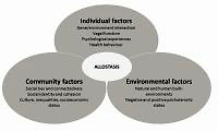 The link between happiness and health: a review of concepts, pathways and strategies for enhancing well-being